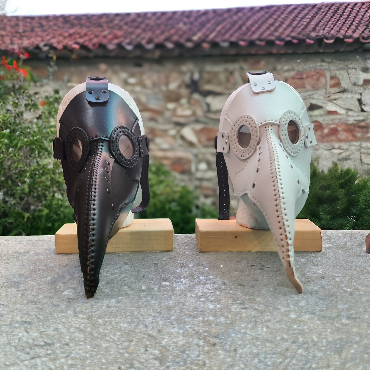 Classic Charm Plague Doctor Mask